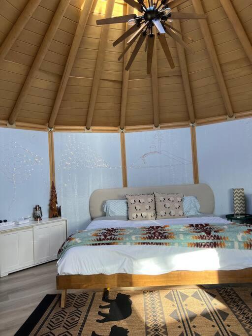 הוילה Valley Center Glamping-Sky Dome Yurt-Tiny House-2 By Lavenders Field מראה חיצוני תמונה